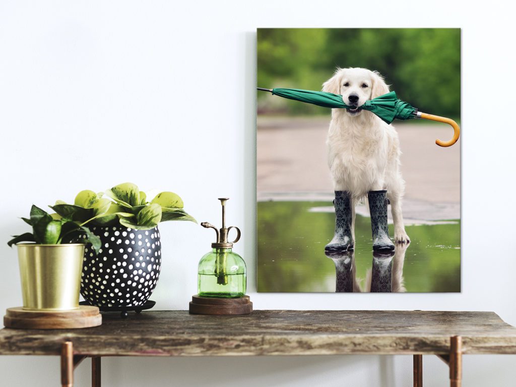 Fotografera och skapa dina egna konstverk