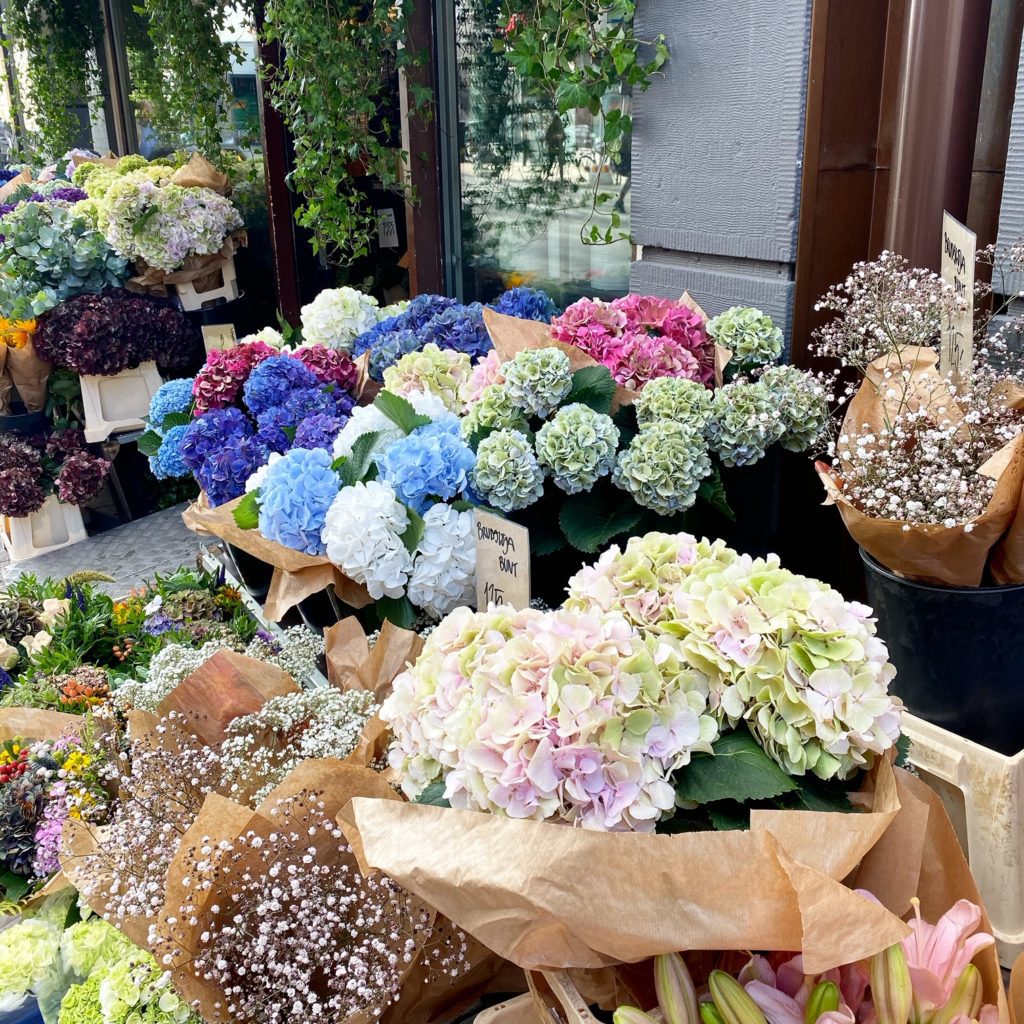 Vackra blommor i hemmet ger extra trivsel