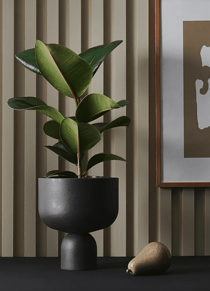 Handlat blommor online hos House of flowers