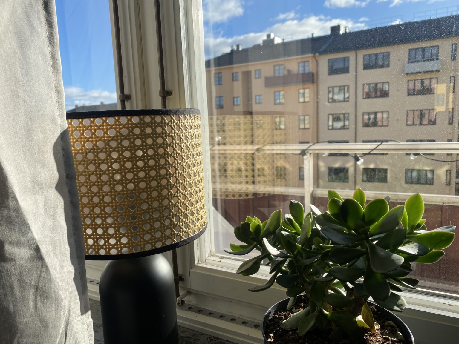 rotting lampa