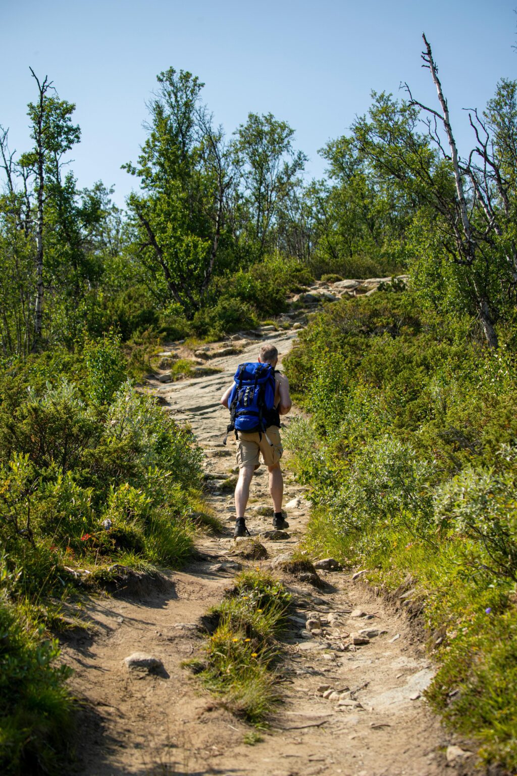 Träningsguiden för berget: Muskelgrupperna som räddar dig i branta backar